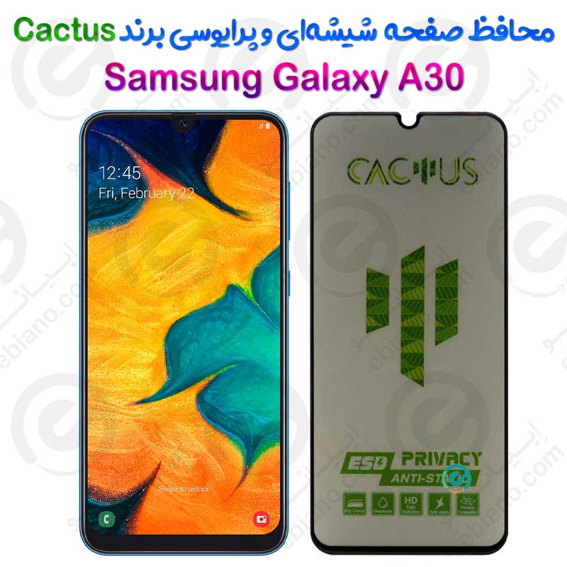 گلس حریم شخصی تمام صفحه Samsung Galaxy A30 برند Cactus