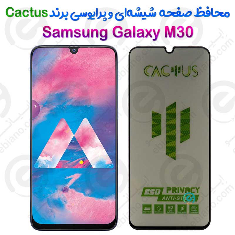 گلس حریم شخصی تمام صفحه Samsung Galaxy M30 برند Cactus