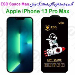 گلس شیشه‌ای آنتی استاتیک اپل آیفون 13 پرو مکس مدل ESD Space Man